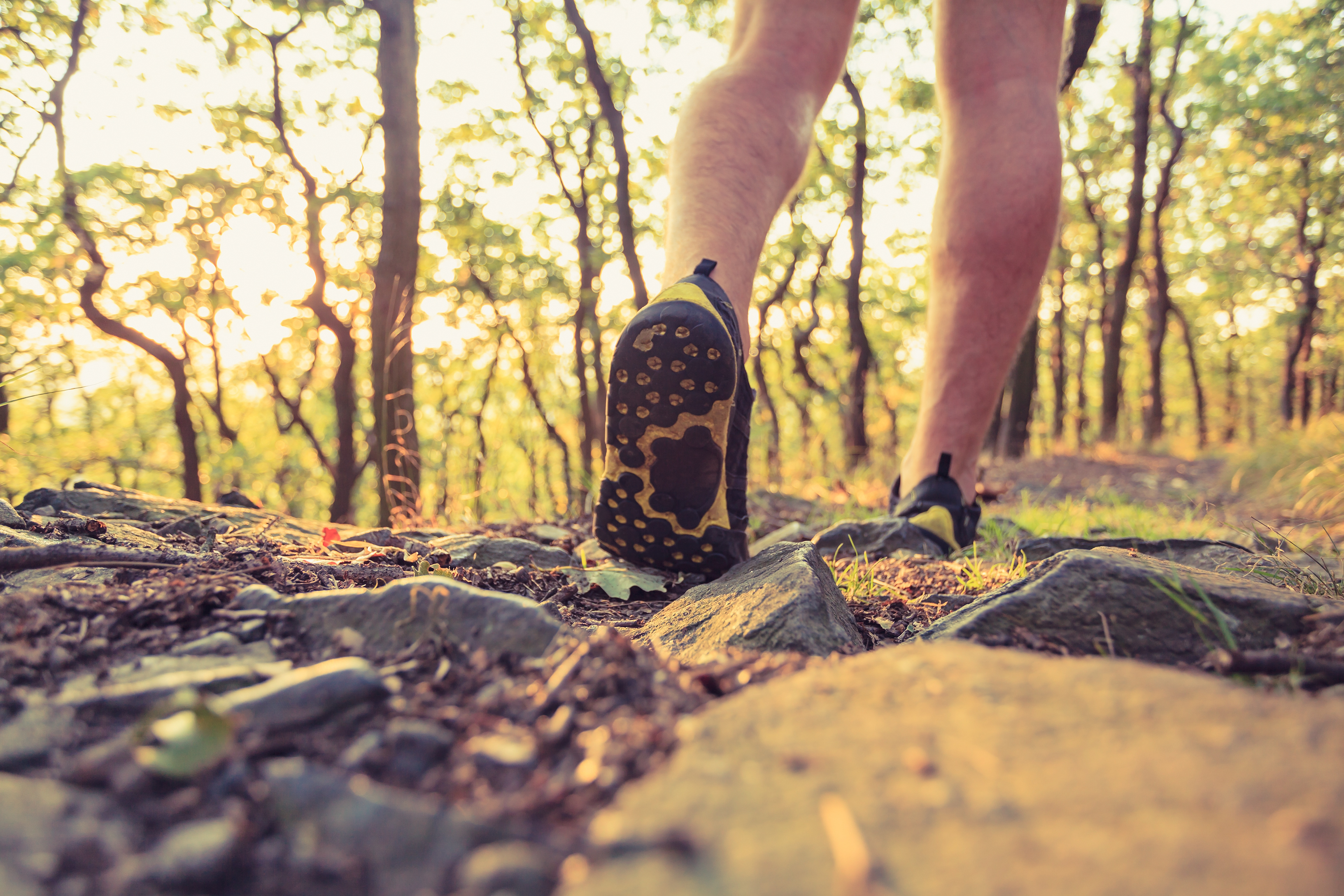 Hey you! Go take a hike or maybe a walk.
