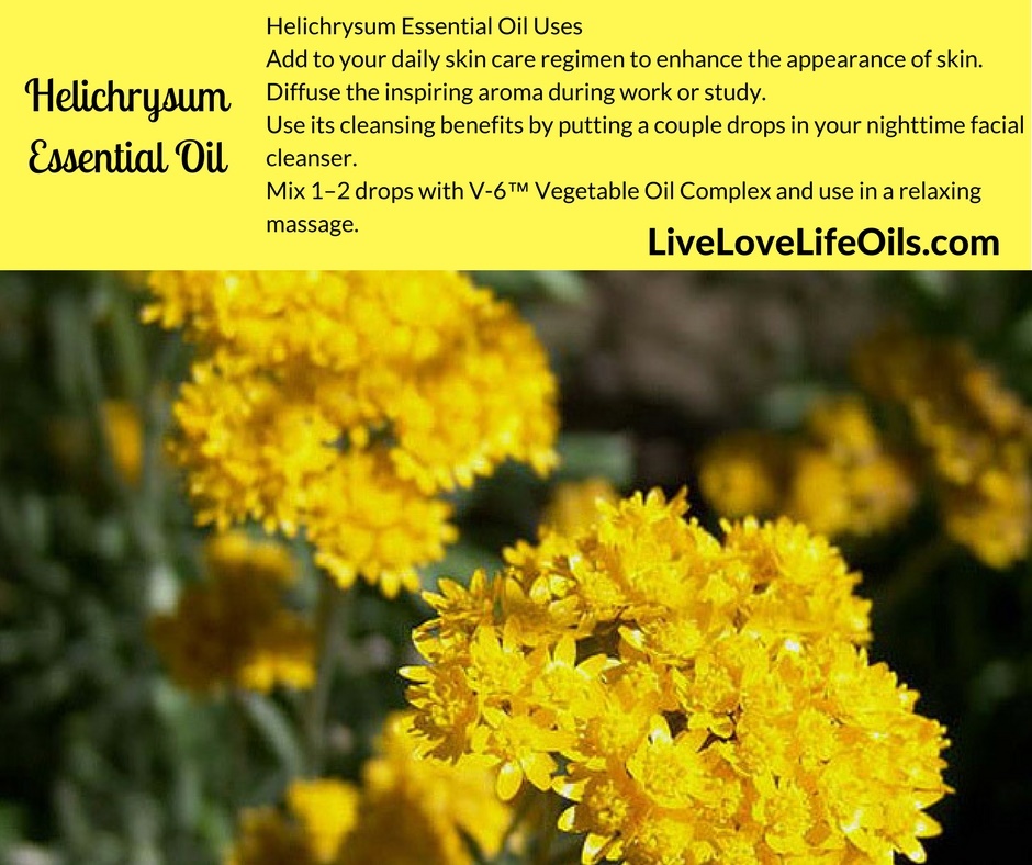 Helichrysum Essential Oil