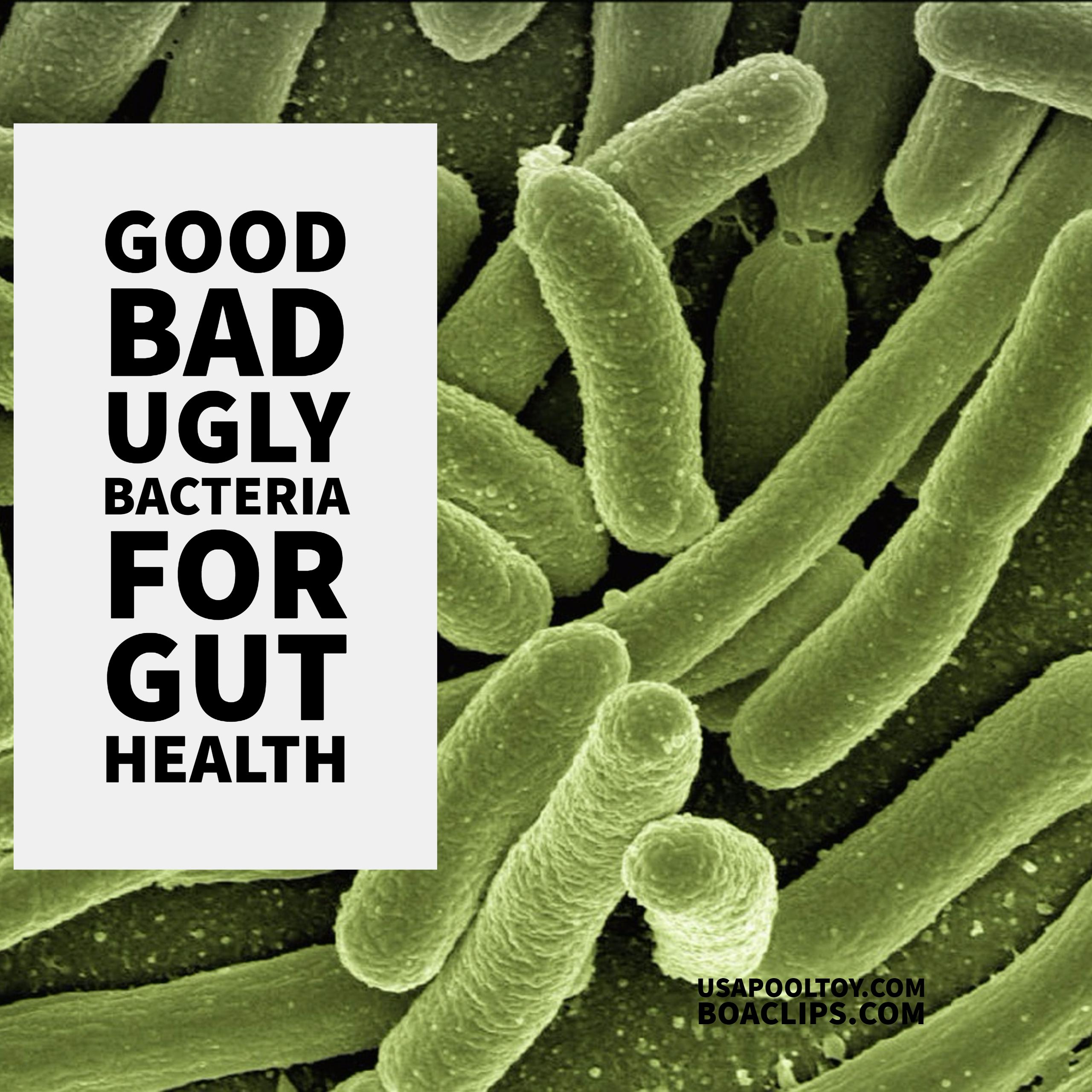 Healthy Living: There is WHAT in my stomach?