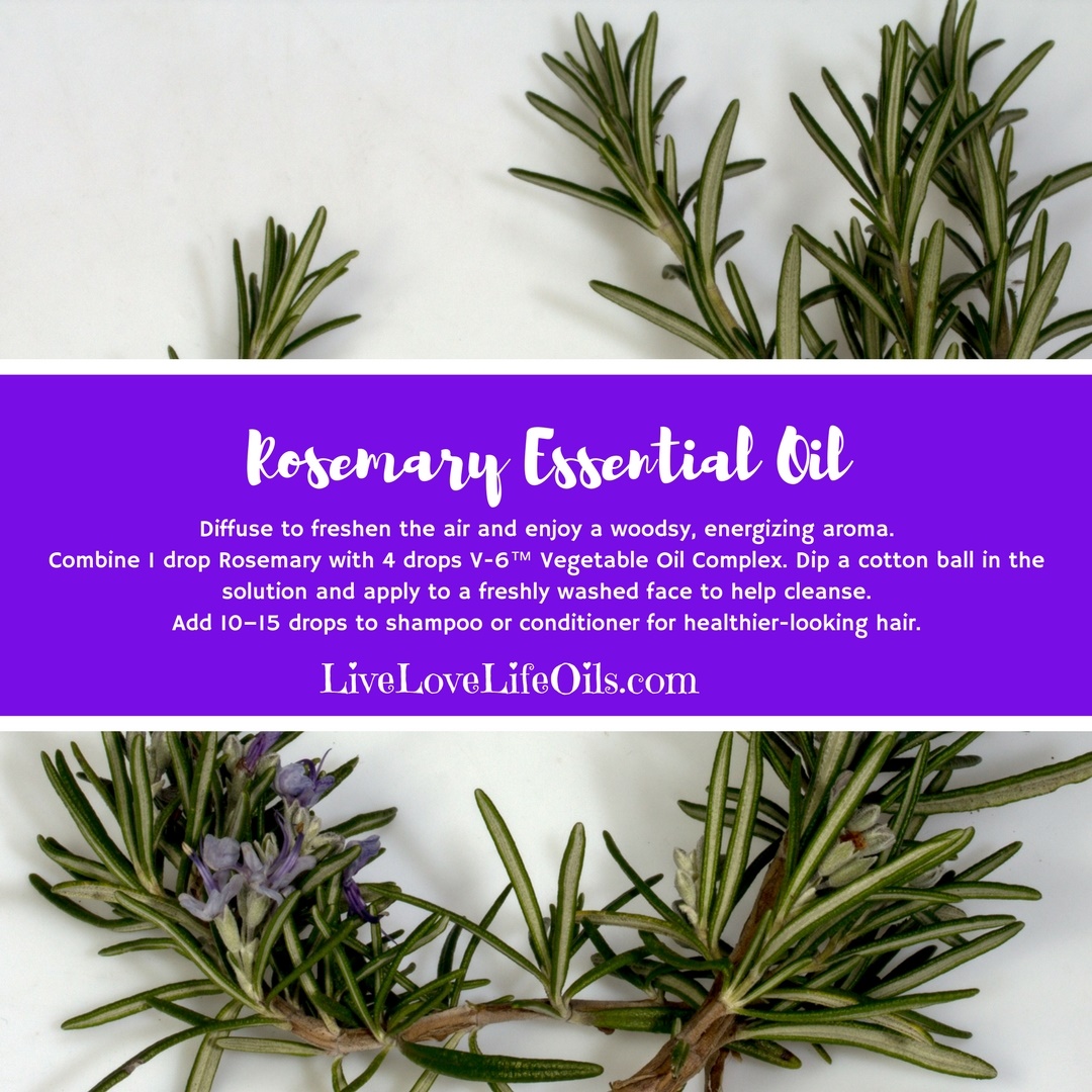 Amazing Benefits of Rosemary Essential Oil