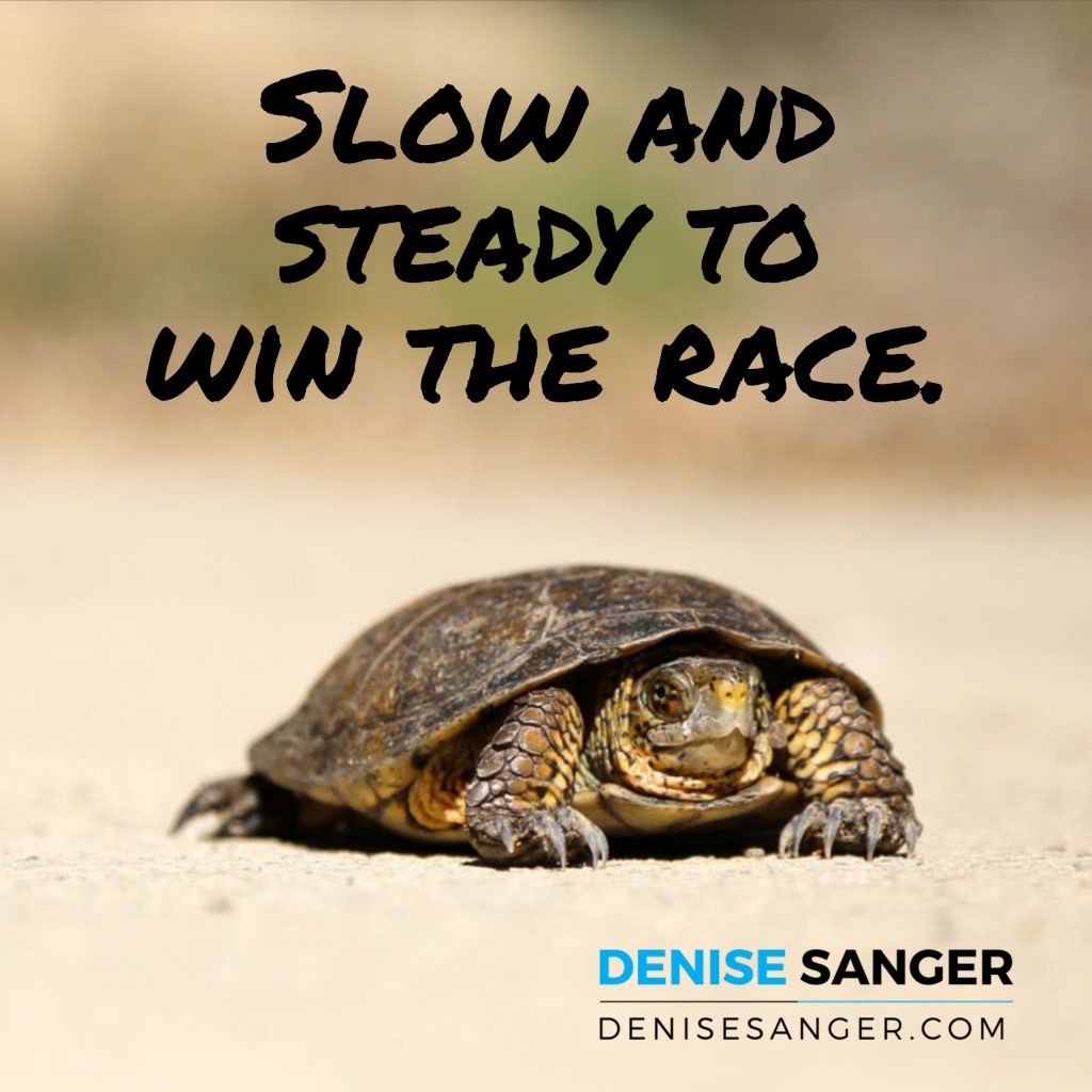 slow-and-steady-fitness-journey-to-win-the-race-wellness-break-with