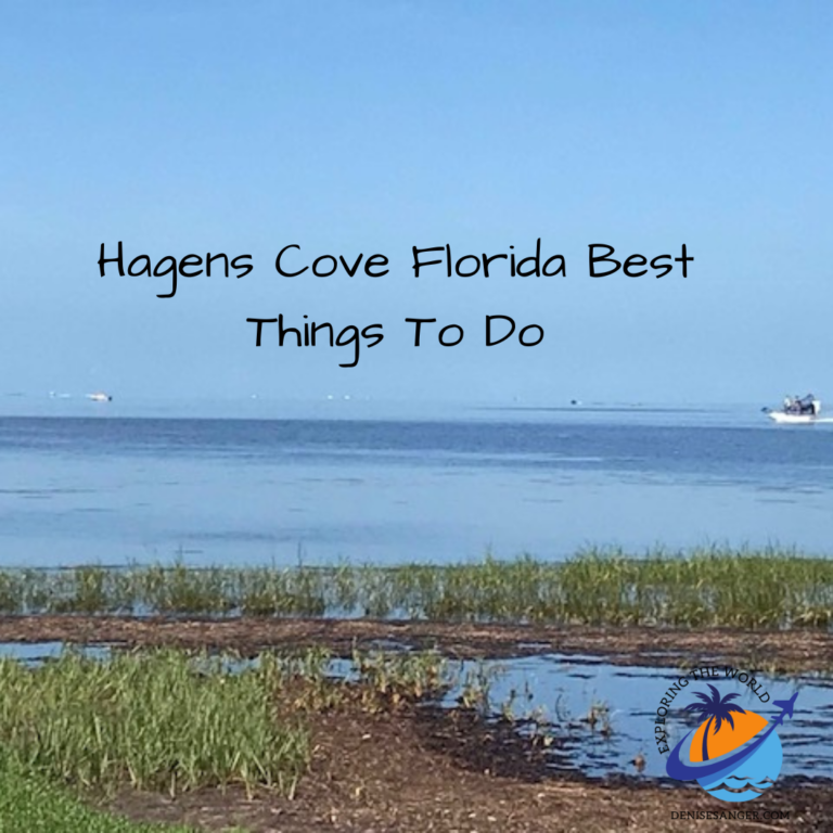 Hagens Cove Florida Best Things To Do