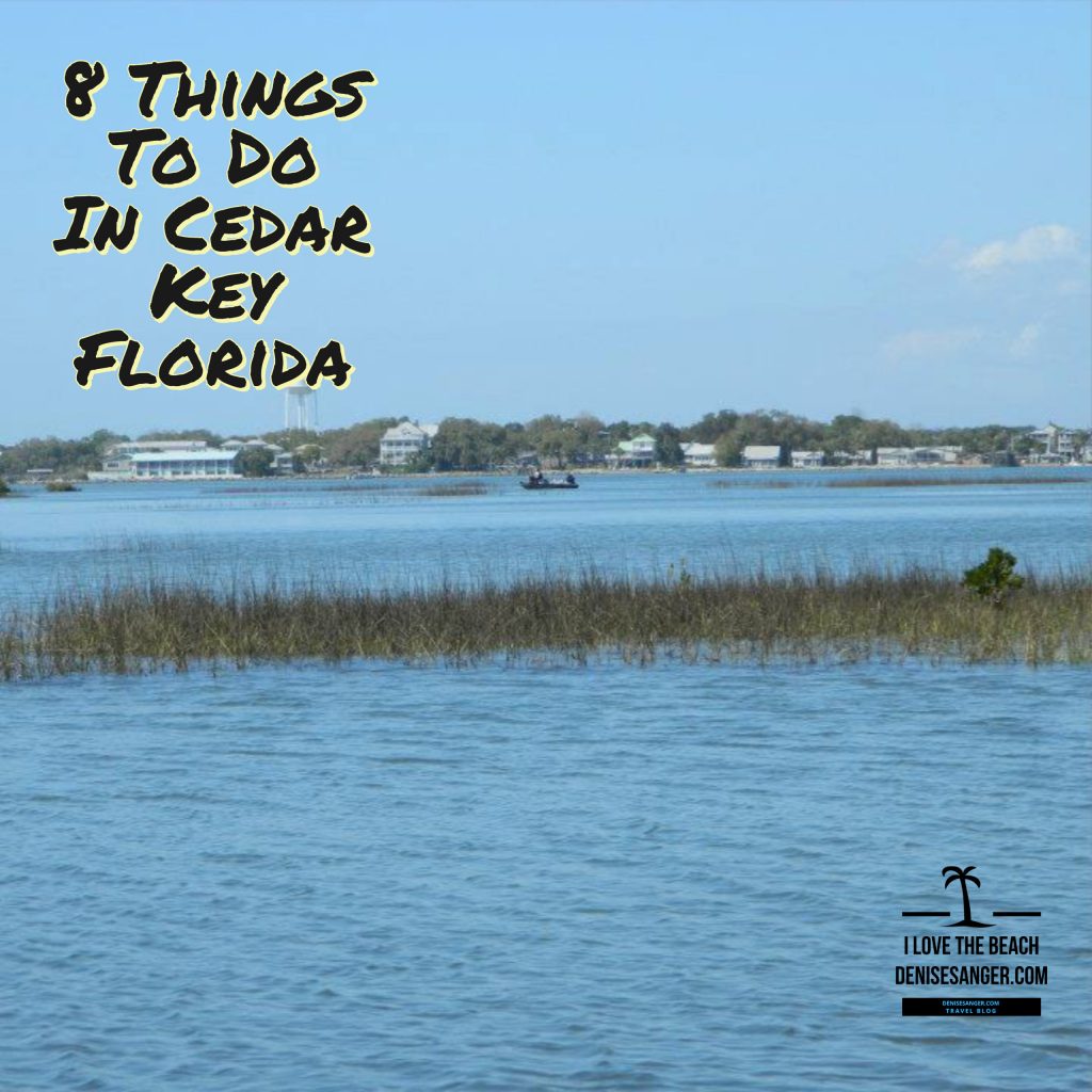 8 Things To Do In Cedar Key Florida Travel for Women 50+ Everything