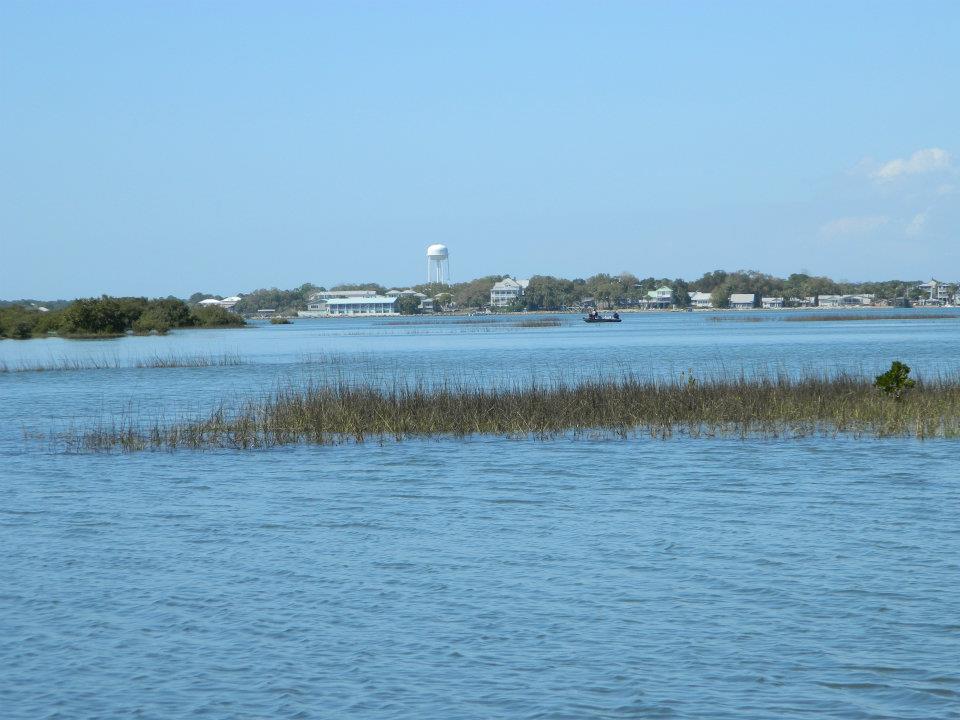 10 Fun Things To Do In Cedar Key Florida Florida Travel Guide Over
