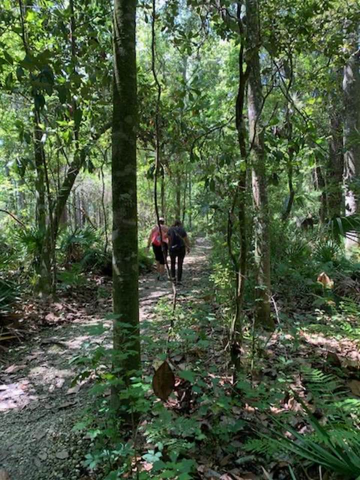 Hiking Florida State Forests Trailwalker Program