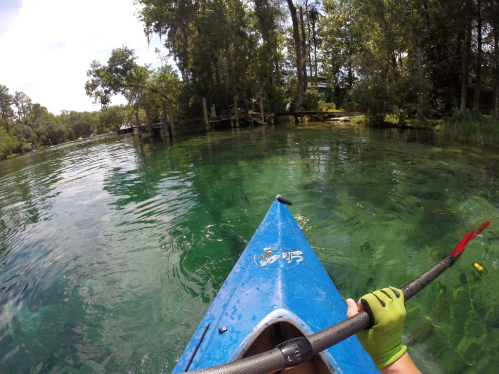 Rainbow River Florida Kayak Trip