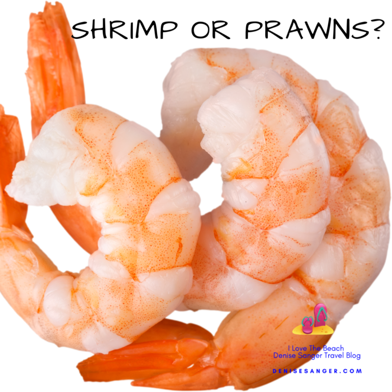 Shrimp or prawns on your next vacation?