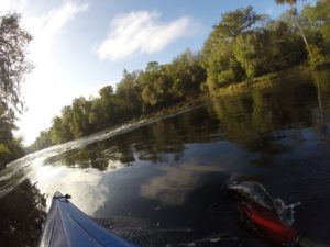 Withlacoochee River