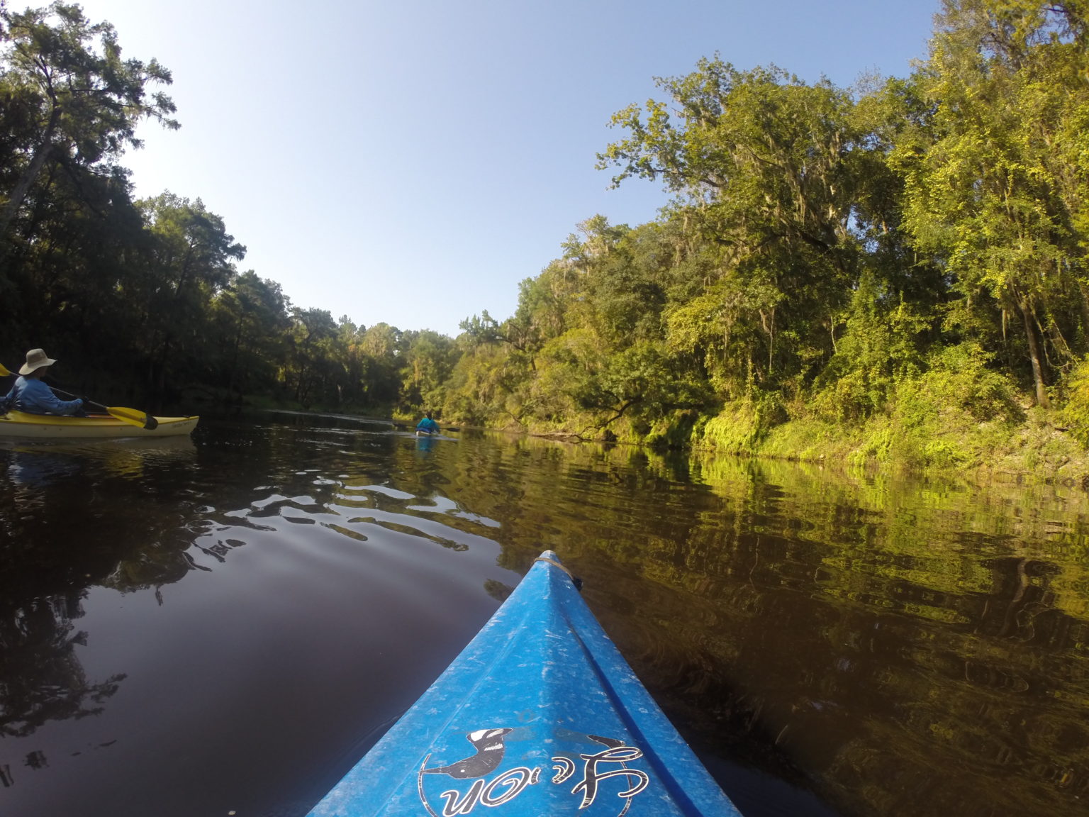 Madison Blue Springs State Park & Withlachoochee River Kayak Trip