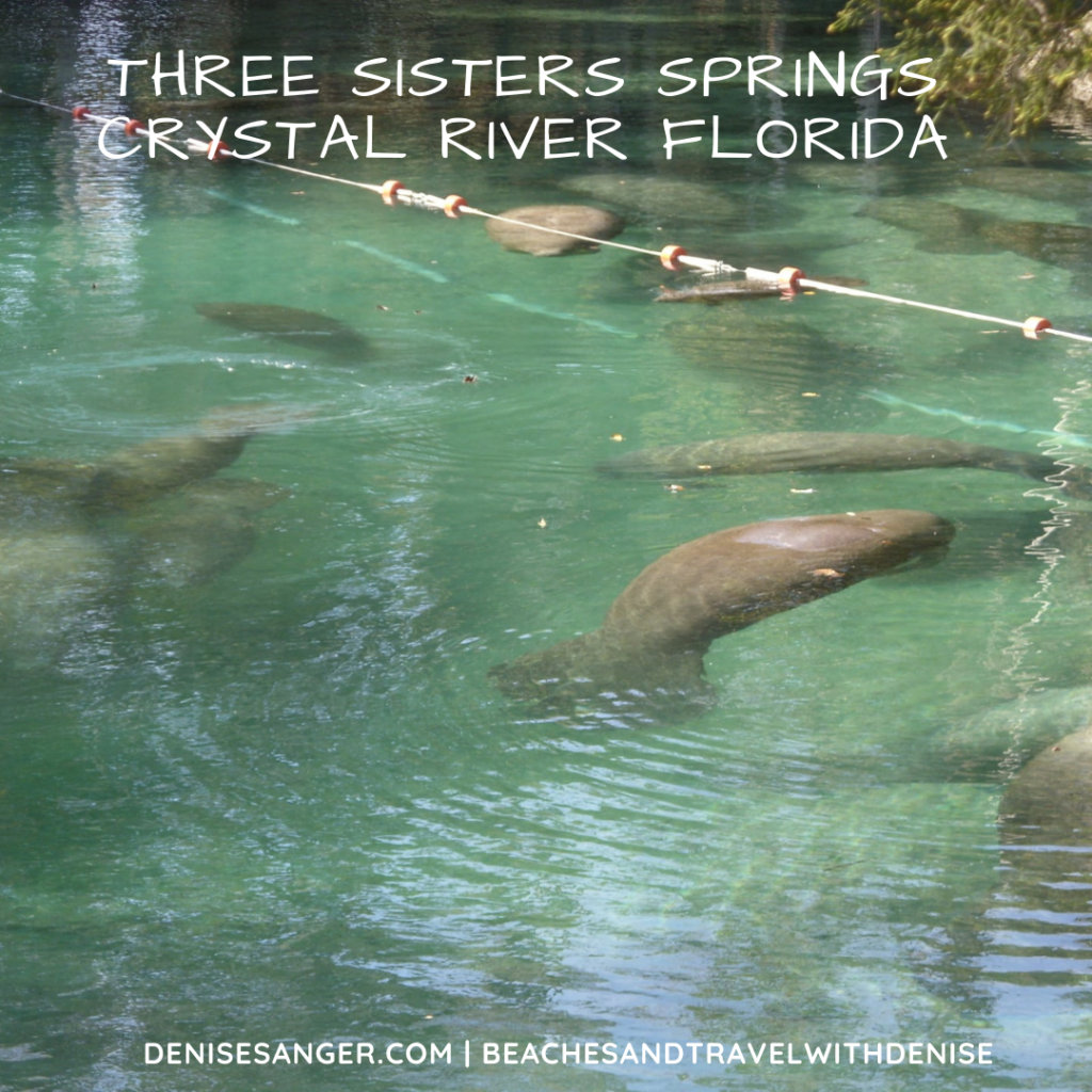 three sisters springs