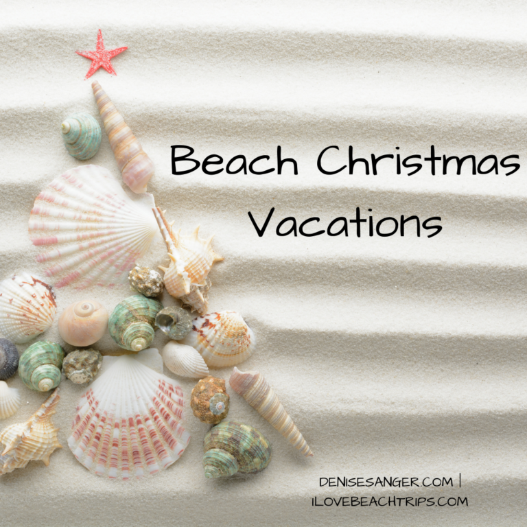 What Are The Best Hotels In Miami Beach? Florida Travel Guide For Women