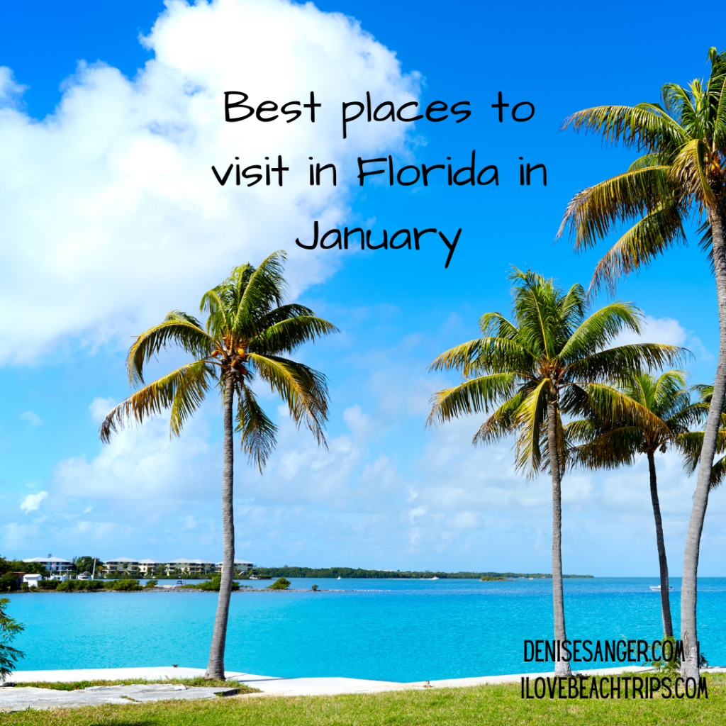 where to visit florida in january