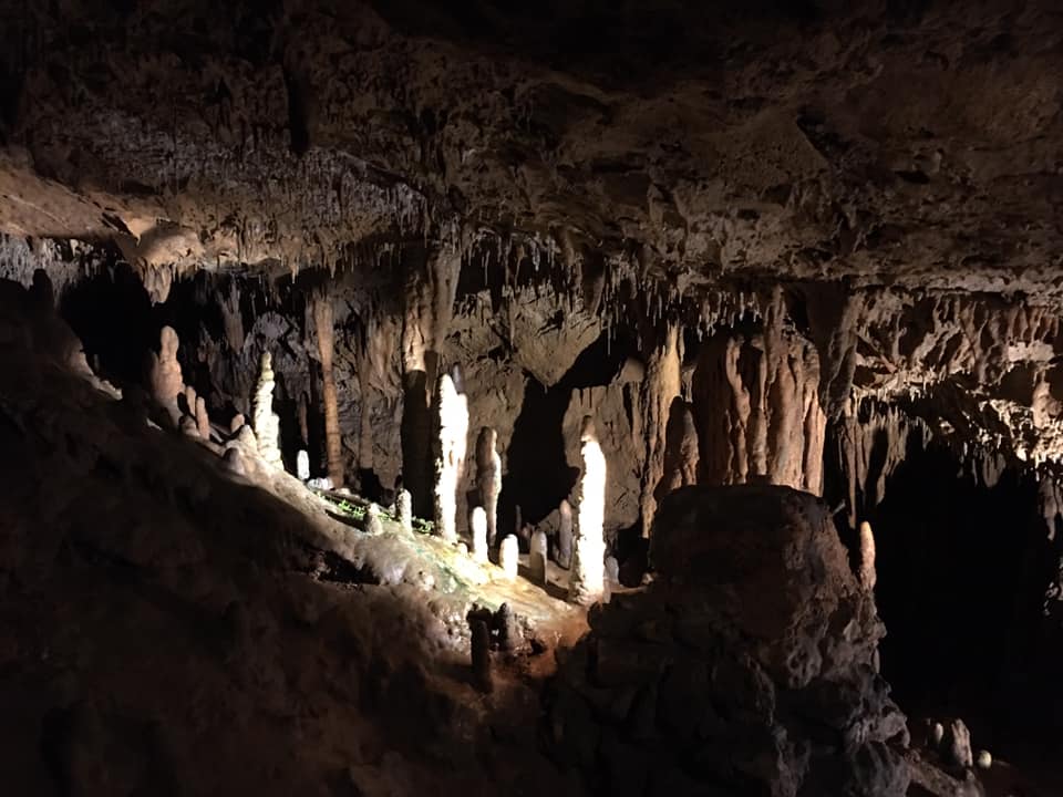 florida caverns cave