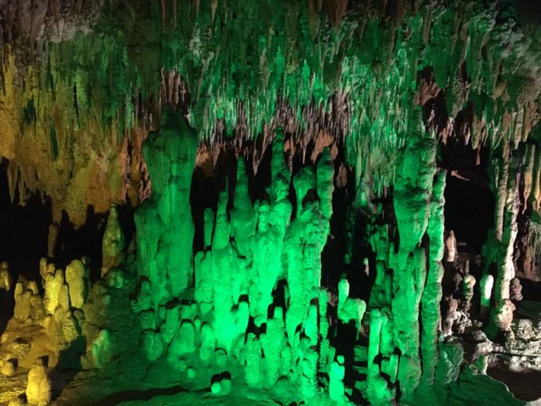 Florida Caverns State Park Marianna - All you need to know 2023 ...