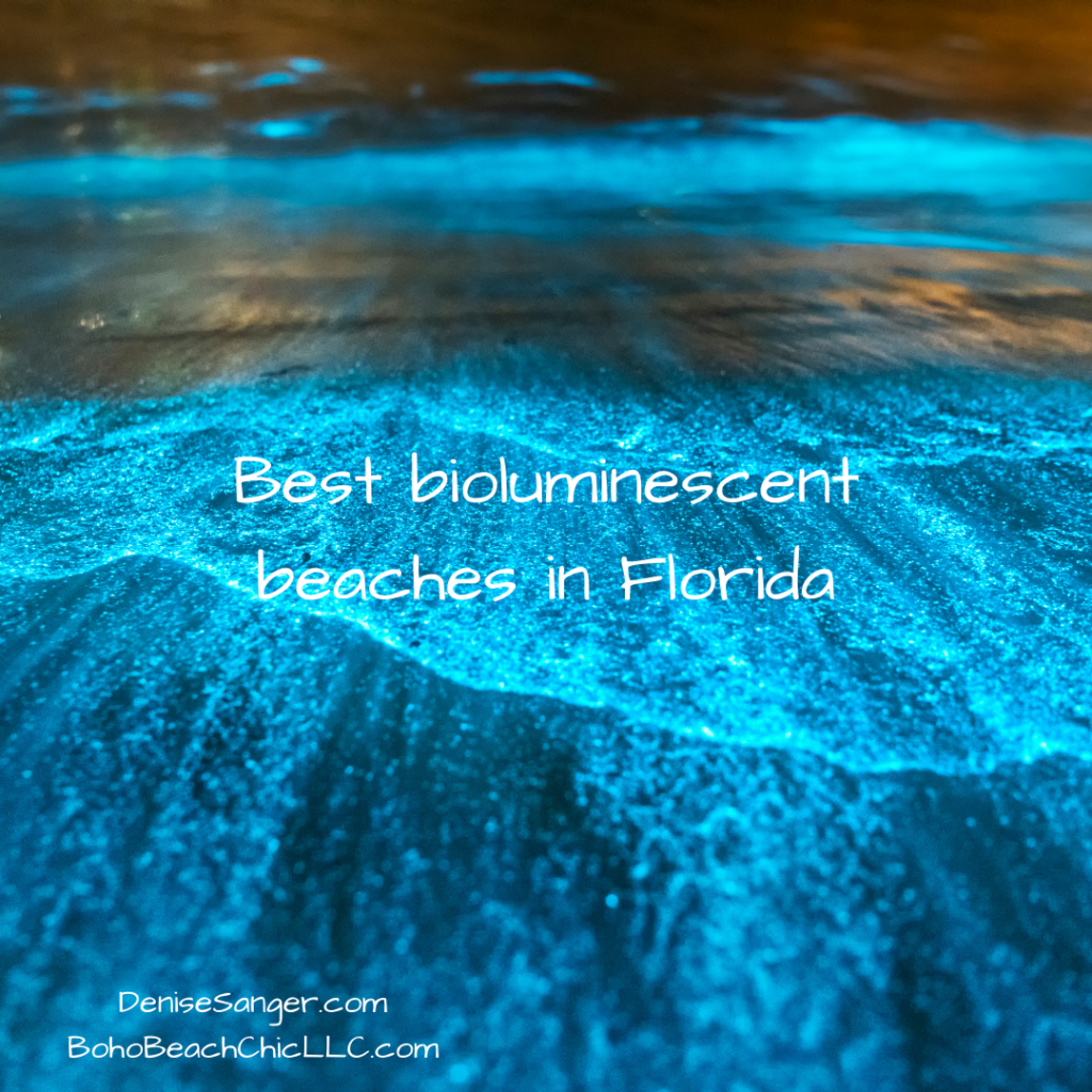 Best bioluminescent beaches in Florida