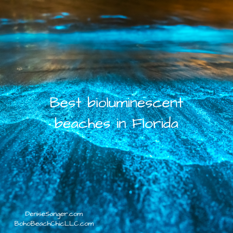 Best bioluminescent beaches in Florida