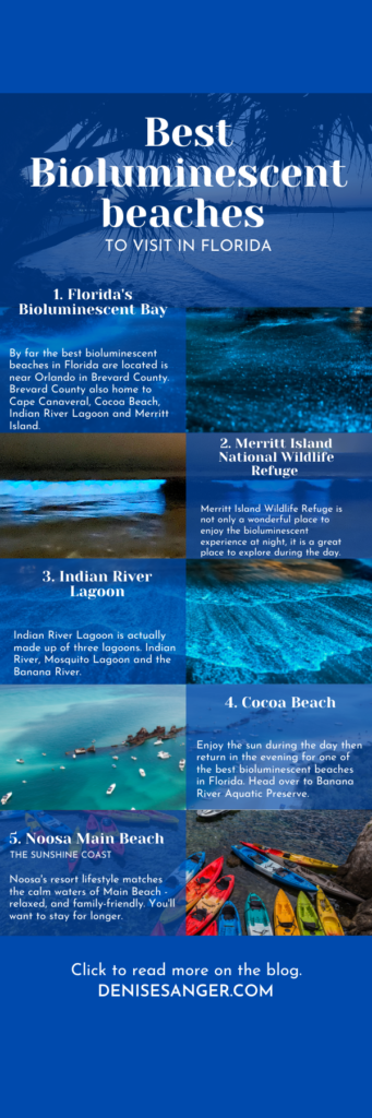 Best bioluminescent beaches in Florida