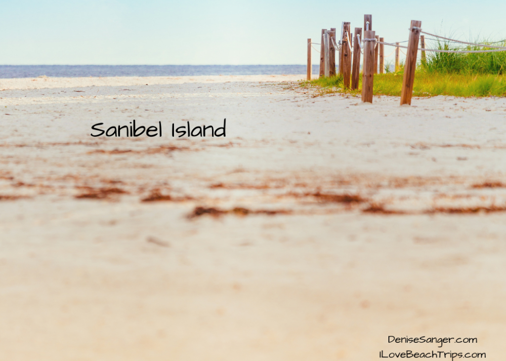Sanibel Island Sea Glass