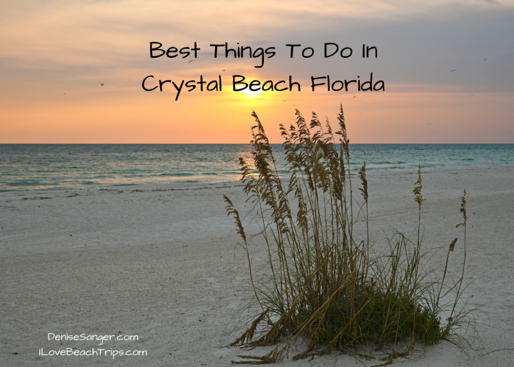 Best Things To Do In Crystal Beach Florida Crab Island