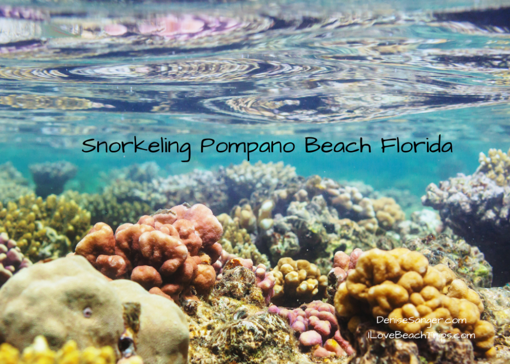 Best Snorkeling Pompano Beach Florida