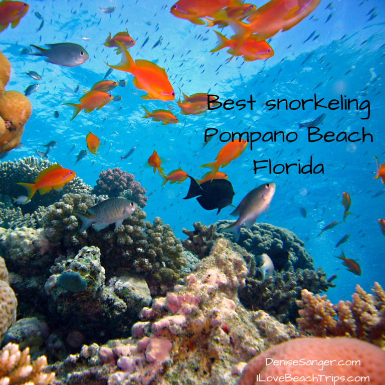 Best Snorkeling Pompano Beach Florida