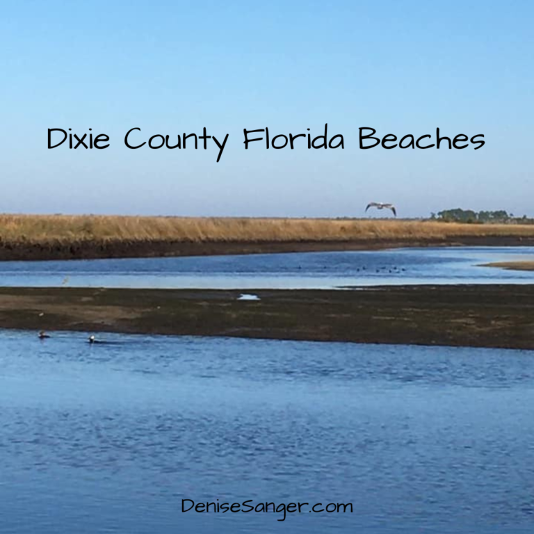 Best Dixie County Florida Beaches