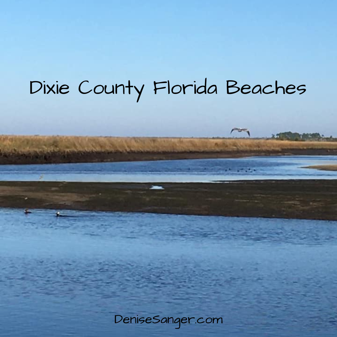 Best Dixie County Florida Beaches - Florida Trips For Women