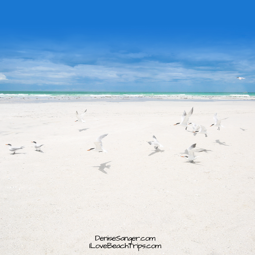 The Best Ruskin Florida Beaches Florida Travel Guide For Women