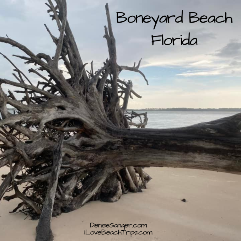 Boneyard Beach, Florida and why you must visit.