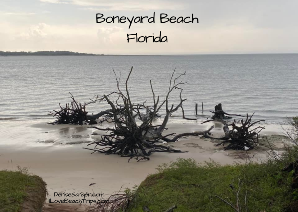Boneyard Beach, Florida and why you must visit. Florida Trips For Women