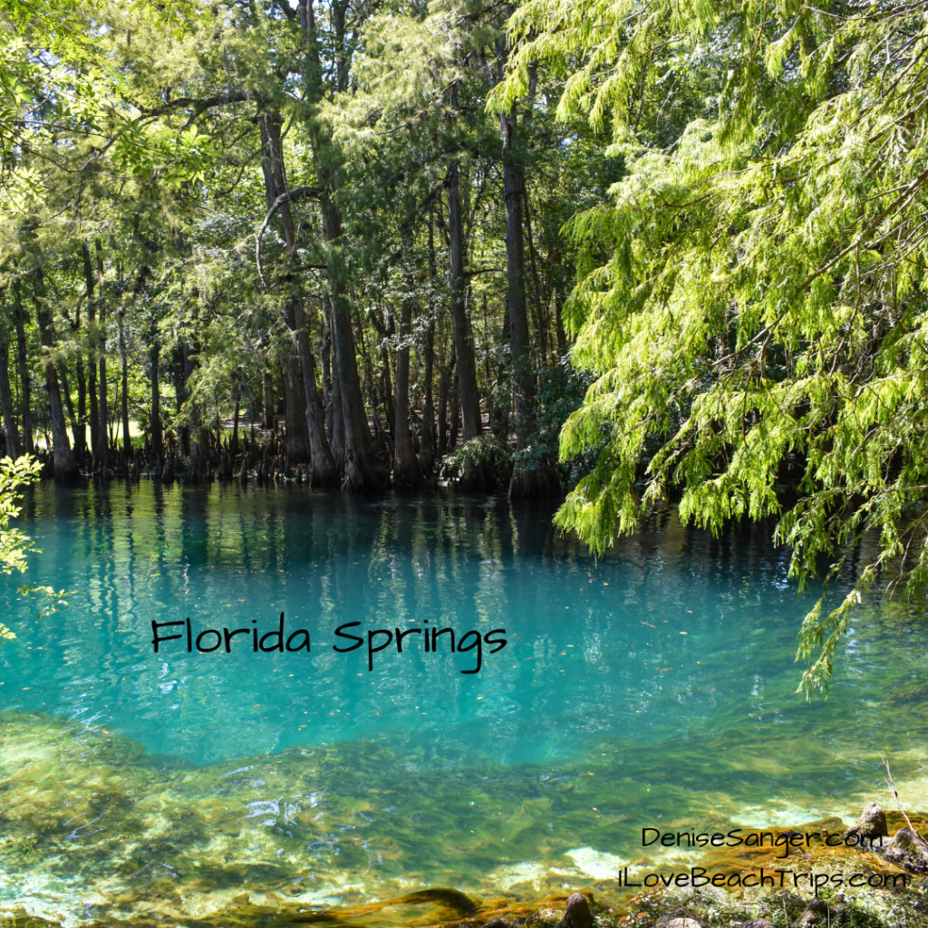 Florida Springs