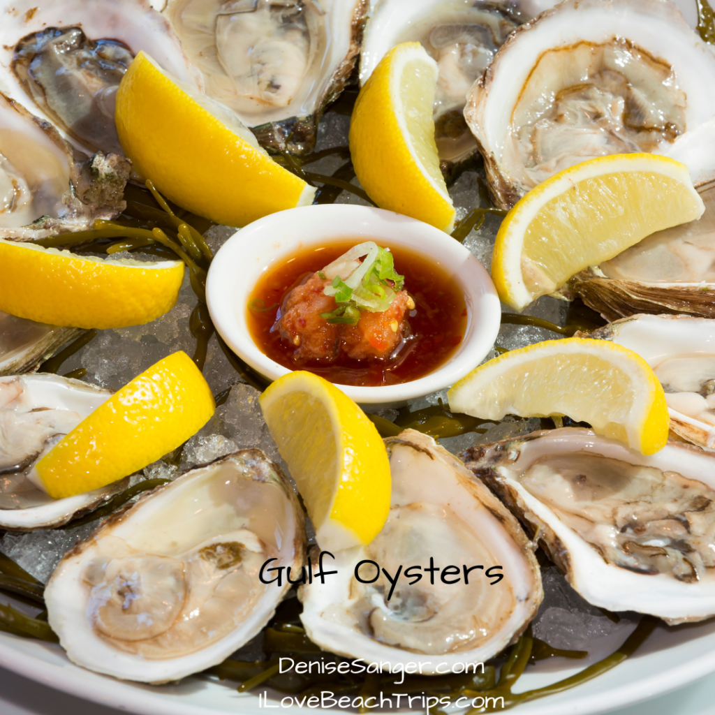 gulf of mexico oysters
