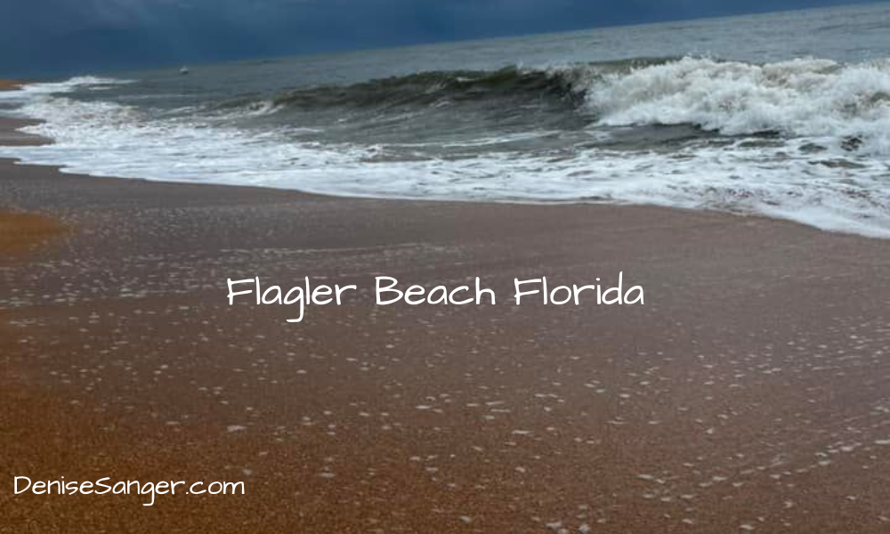 flagler beach florida