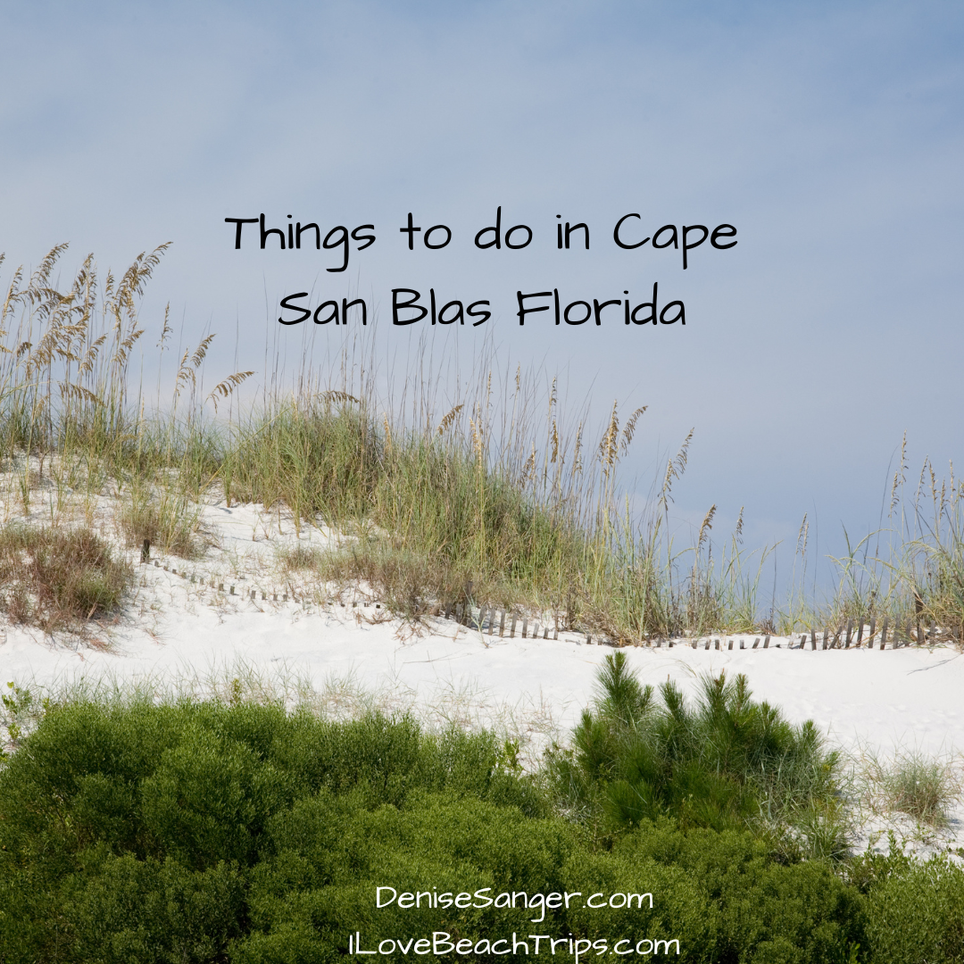 Things to do in Cape San Blas Florida Best Florida Vacations From A
