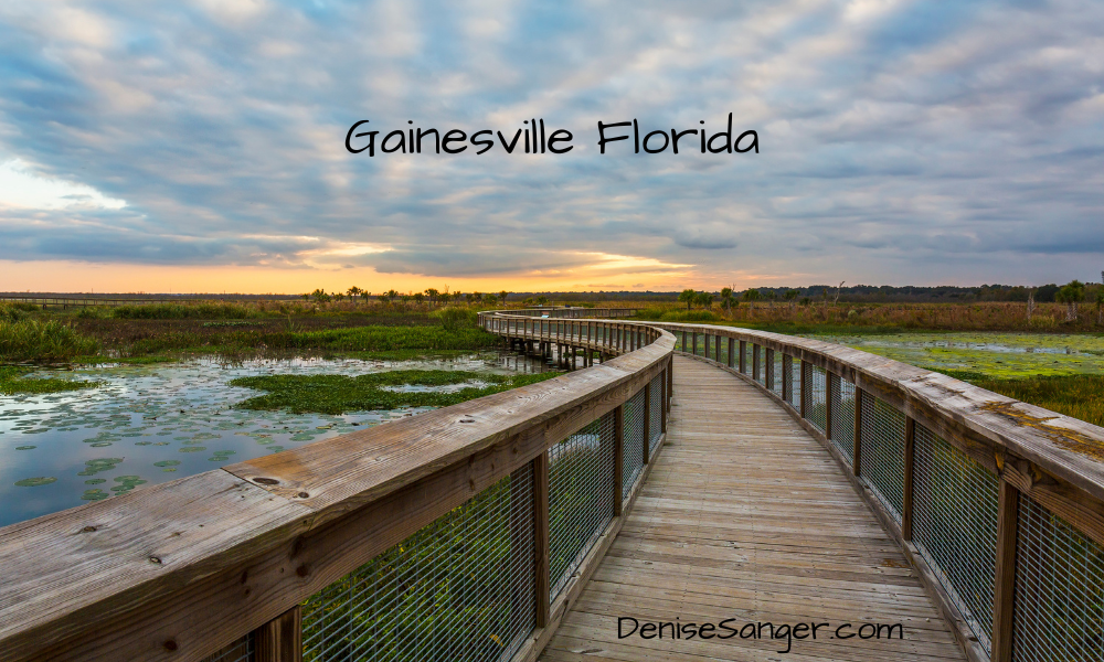 Best Gainesville Florida Beaches