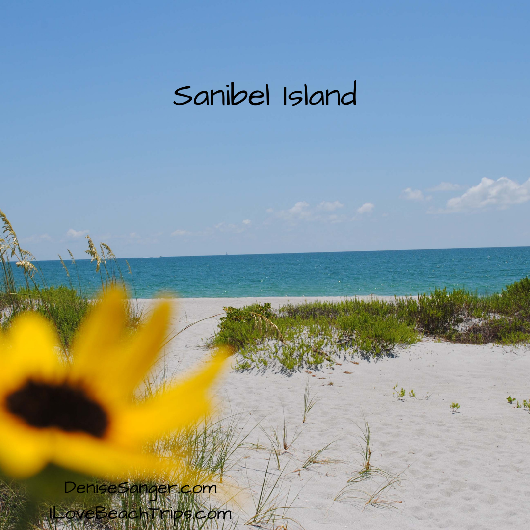 Ultimate Guide to Snorkeling in Sanibel Island Florida For Fun