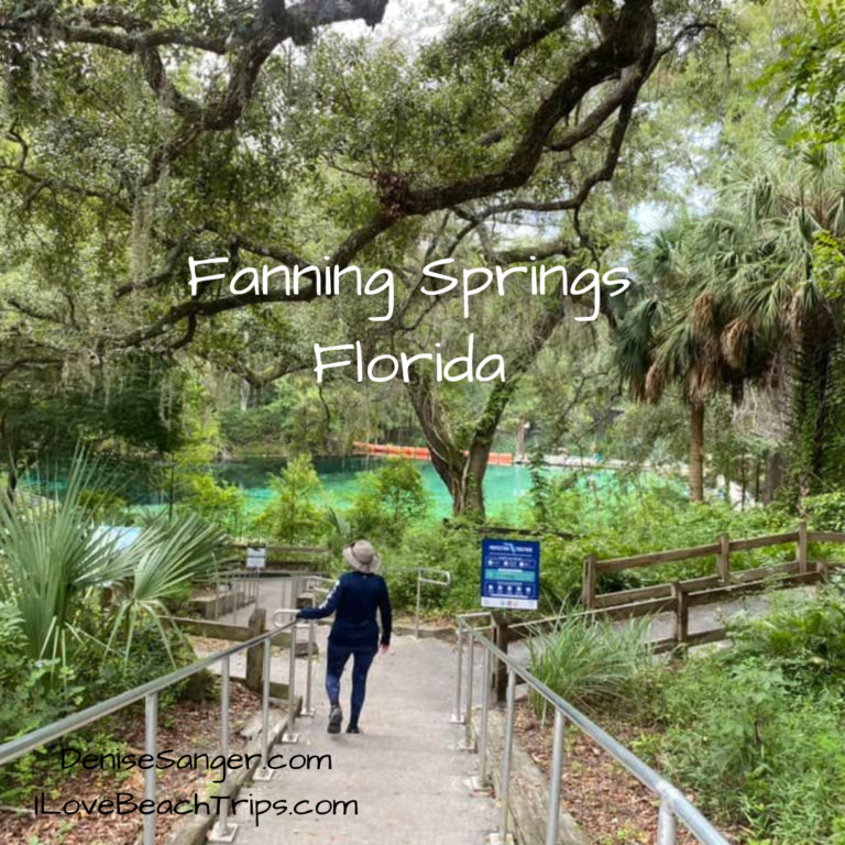 Fanning Springs Florida Things To Do