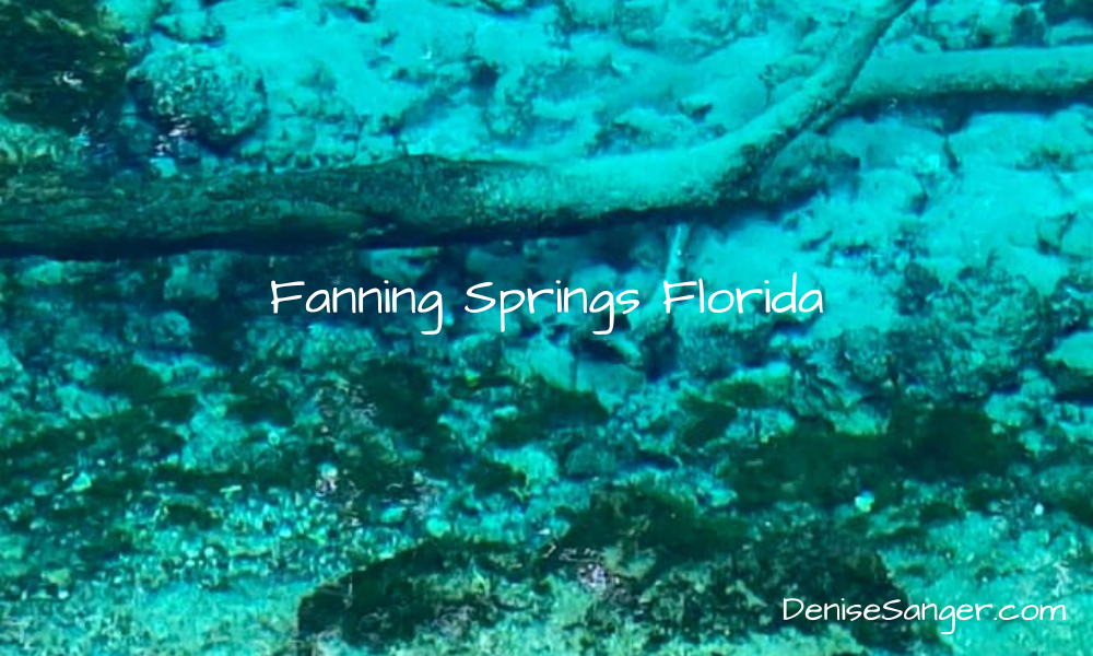 fanning springs florida