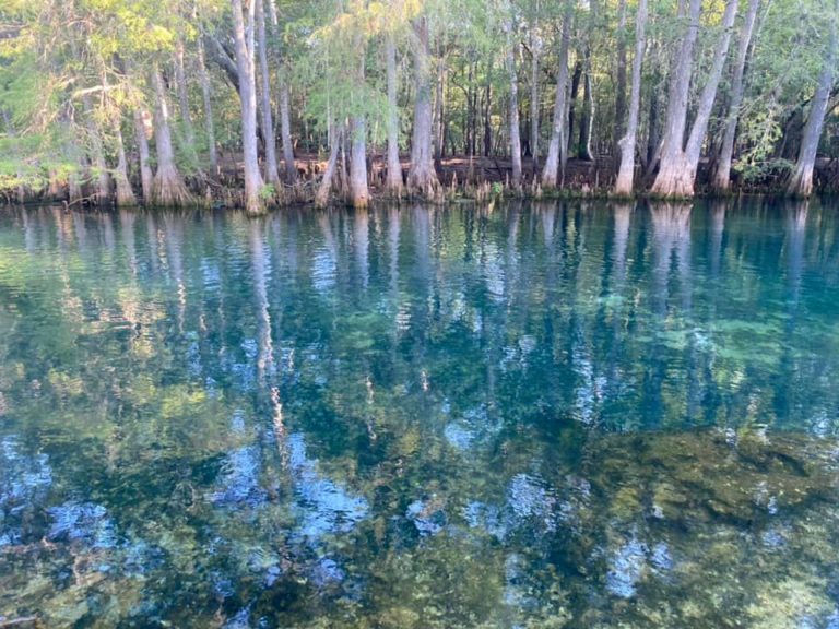 Fanning Springs Florida Things To Do Florida Travel Guide For Women
