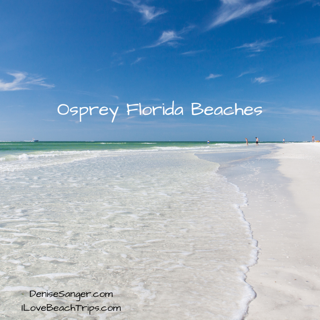 Quiet beaches Florida Gulf Coast Osprey 