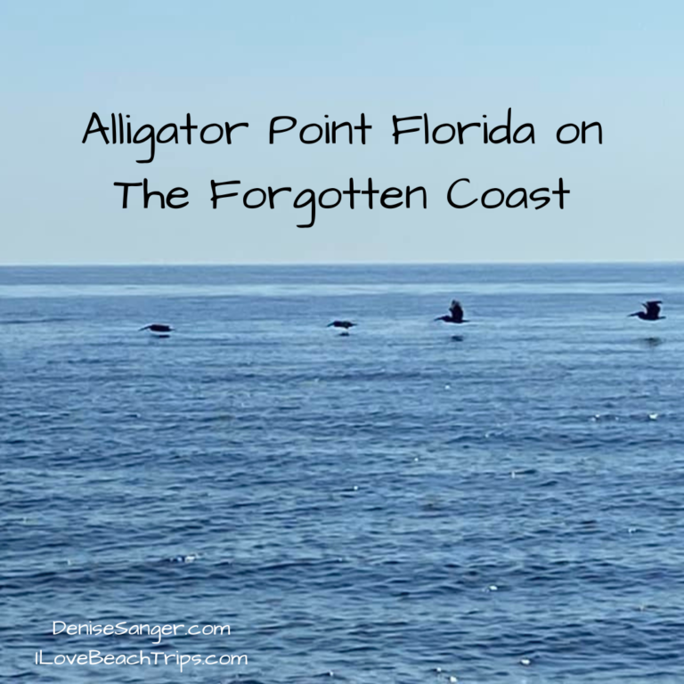 Alligator Point Florida on The Forgotten Coast