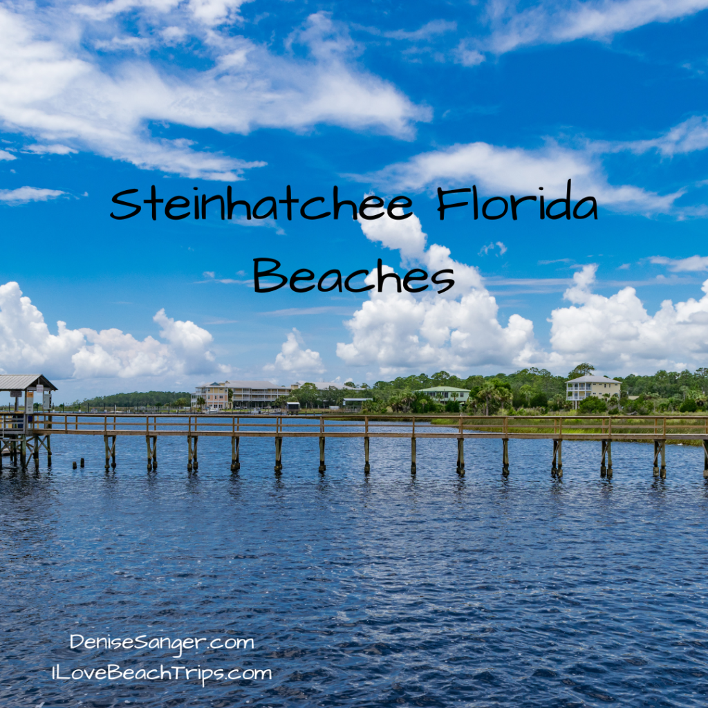 Steinhatchee Florida Beaches