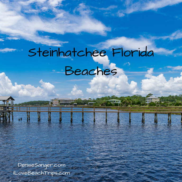 Steinhatchee Florida Beaches - Solo Travel Tips And Trips Women Over 50