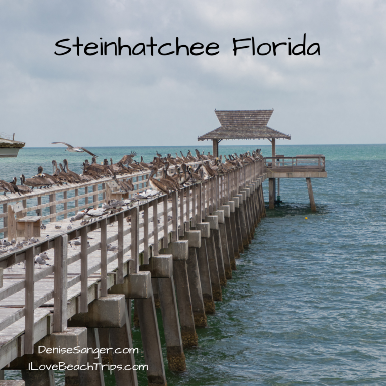 Steinhatchee Florida Beaches