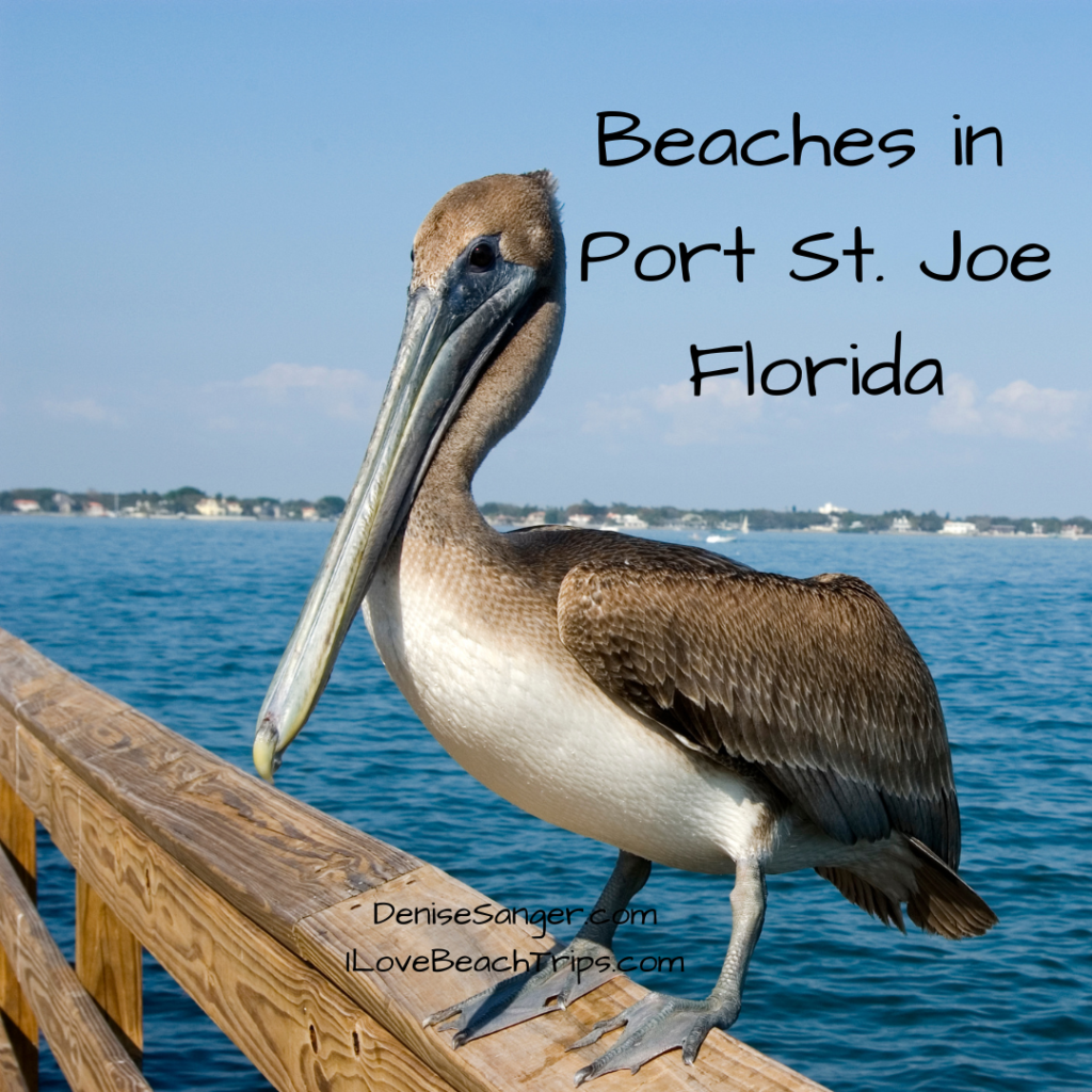 Port St. Joe Florida Beaches