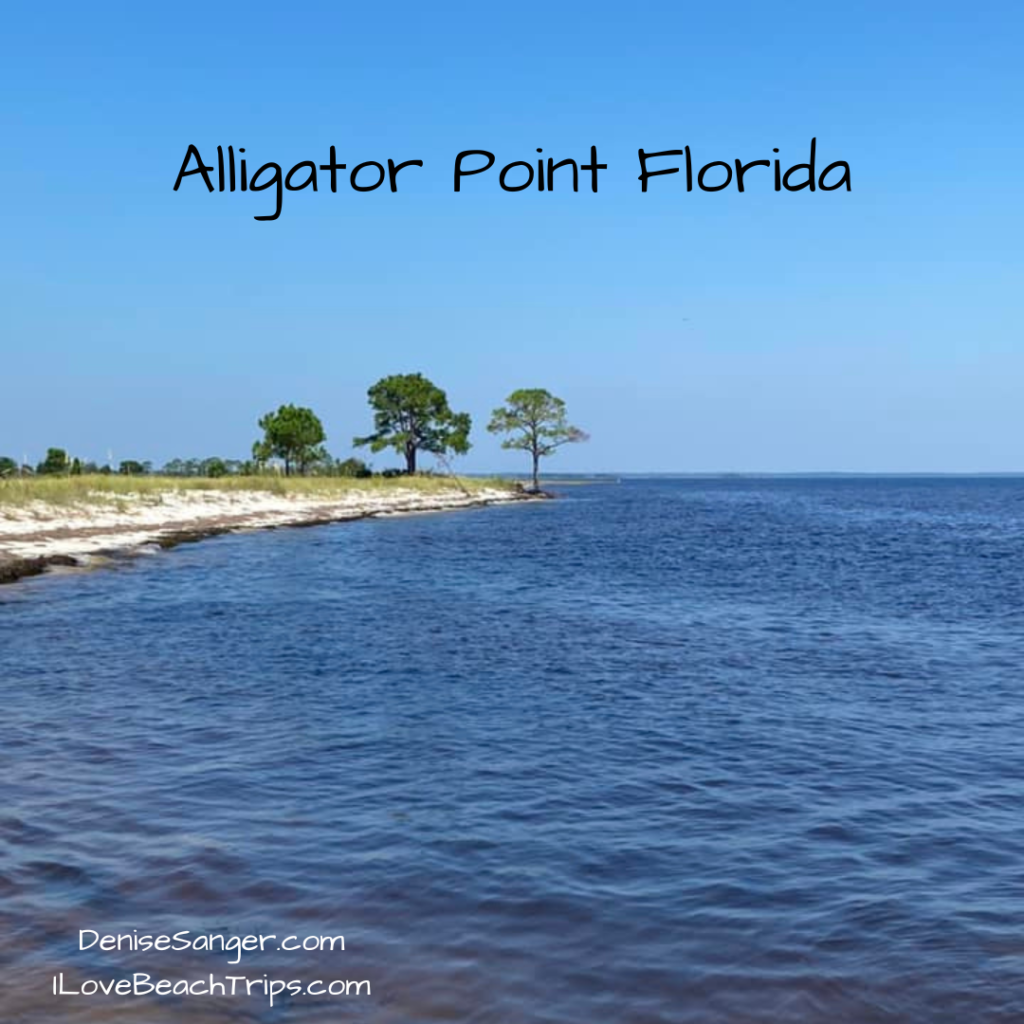 Alligator Point 1024x1024 