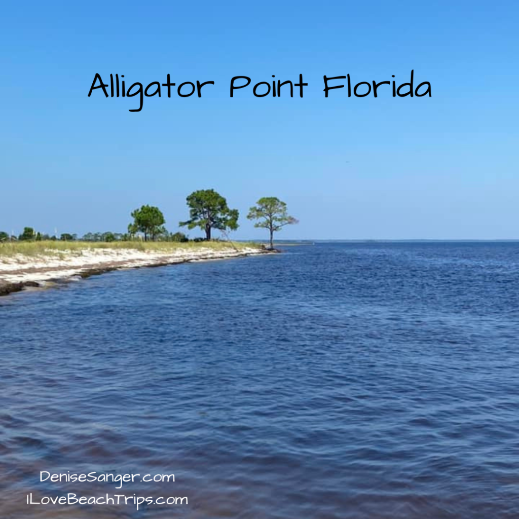 Top Beaches Near Tallahassee Florida What you Need To Know Florida