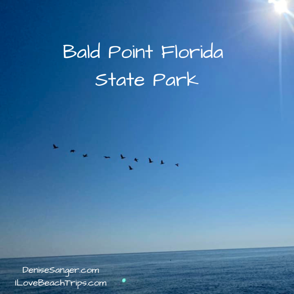 bald point florida state park