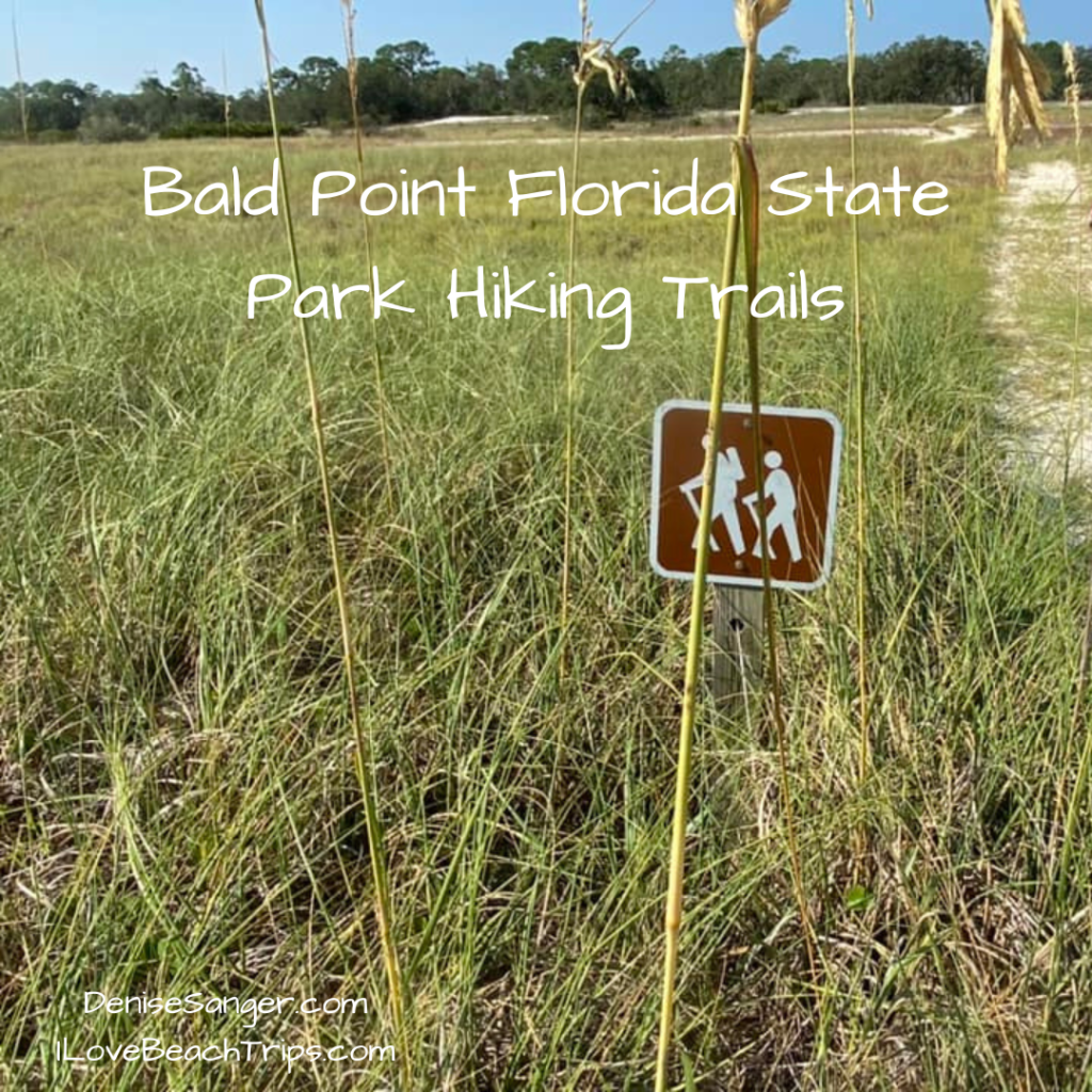 bald point florida state park hiking trails