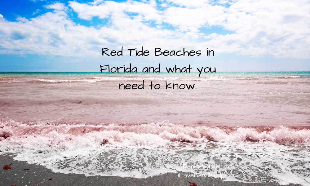 red tide beaches in florida